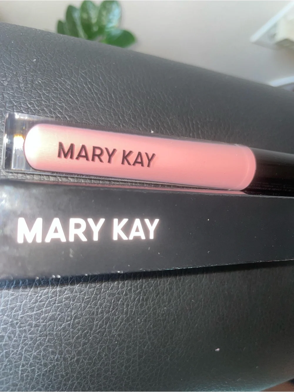 Mary Kay Unlimited Lip Gloss Nude Blush Cream